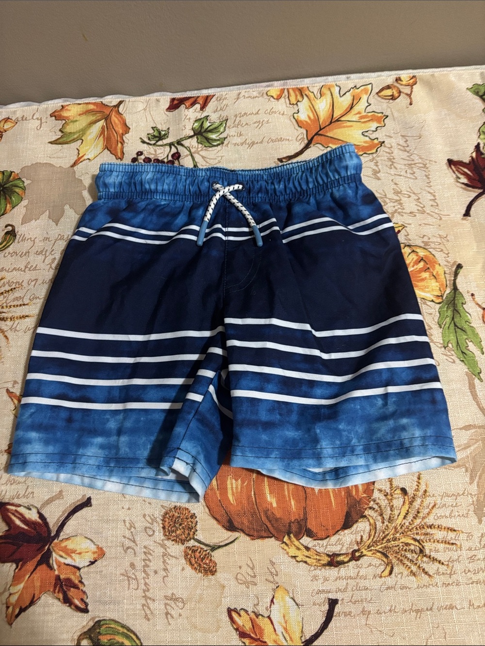 Cat & Jack Navy and Blue Striped Swim Trunks
